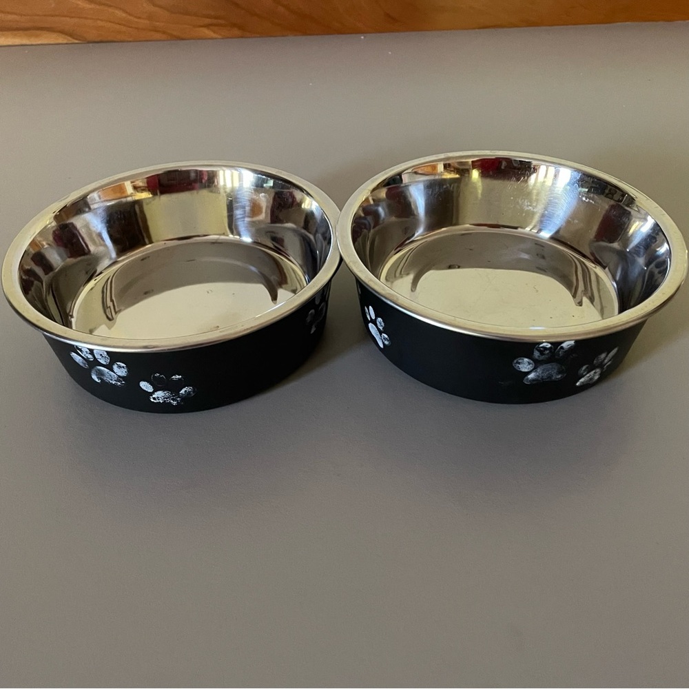 Pair of dog food/water bowls